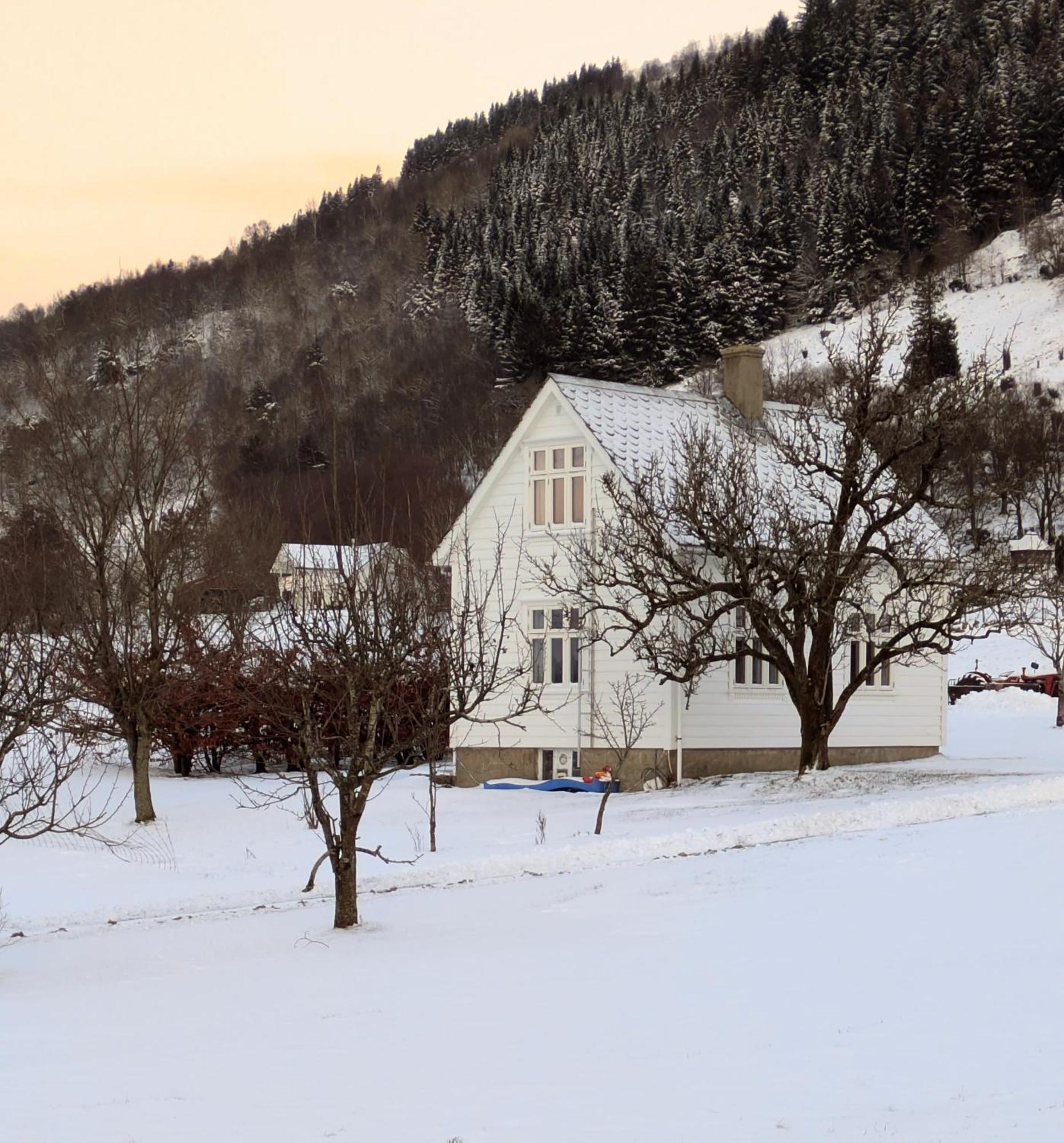 Donhaug Gjestegard Uskedalen Dış mekan fotoğraf